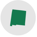 New Mexico State shape